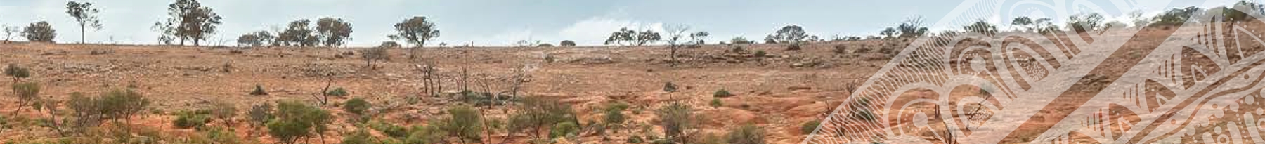 view of red desert with scattered shrubs and small trees