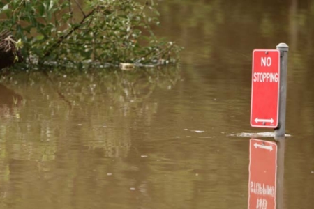 No stopping sign submerged in flood water.