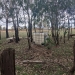 1,000L water tank and other flood debris in a paddock, Central West NSW