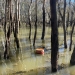 44-gallon drum in floodwaters, Central West NSW