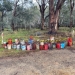 Drums retrieved during clean-up program, Central West NSW