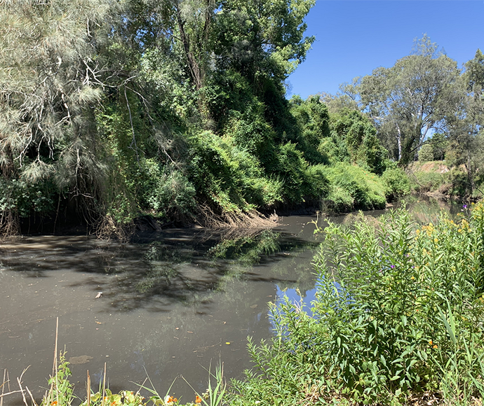 NSW EPA on X: @NSW_EPA are today inspecting water quality and odour  concerns at Clinches Pond, Moorebank in Sydney's south-west. Further  monitoring is scheduled for next week  / X