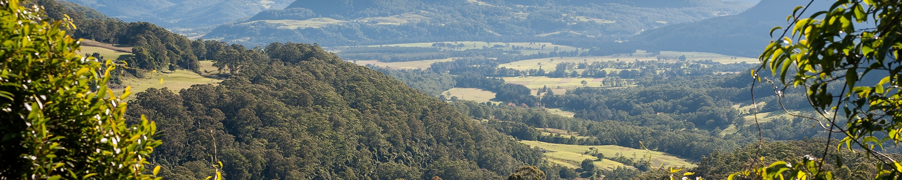 Coast to the Highlands via Kangaroo Valley drive, Morton National Park