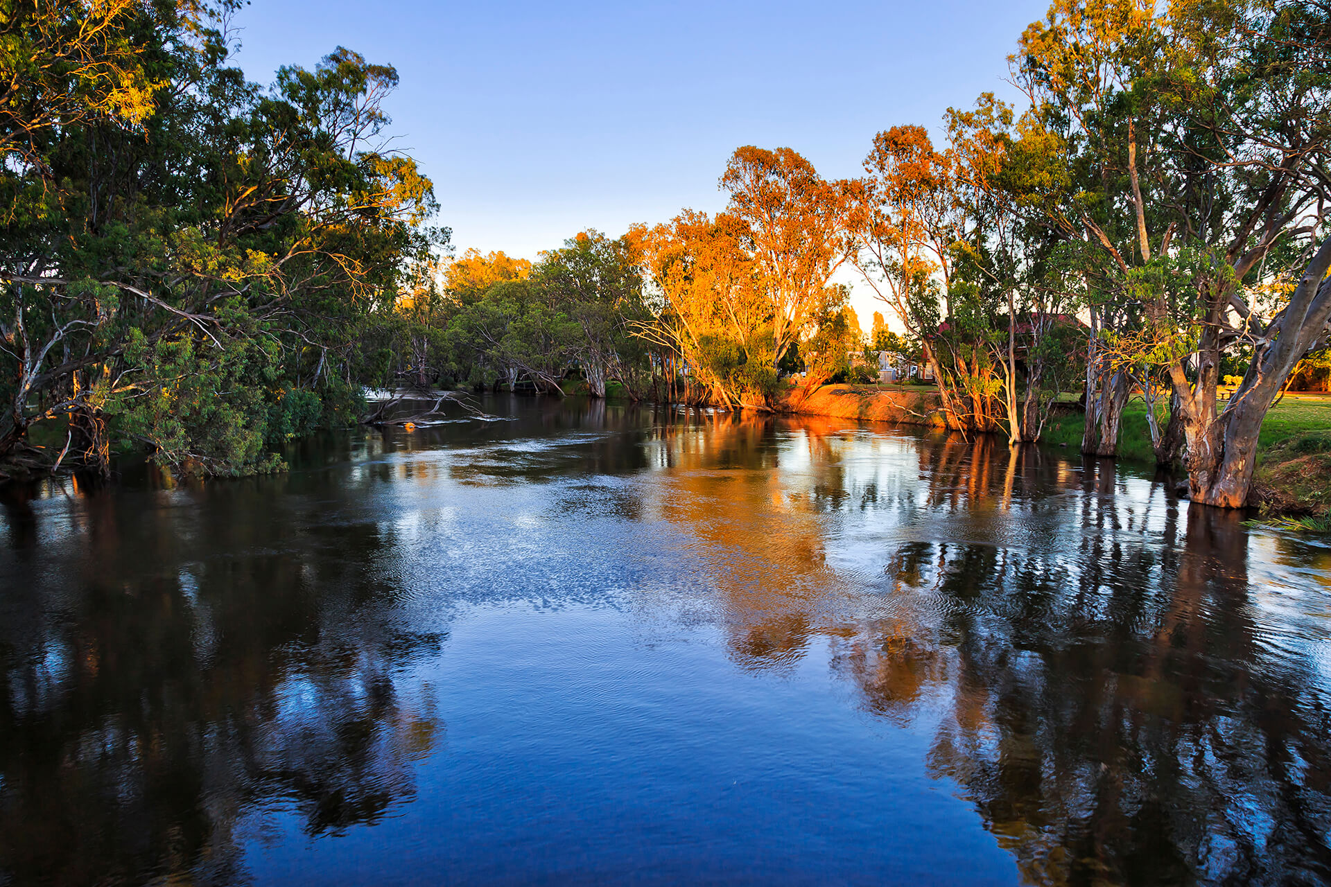 Murrumbidgee River, Balranald