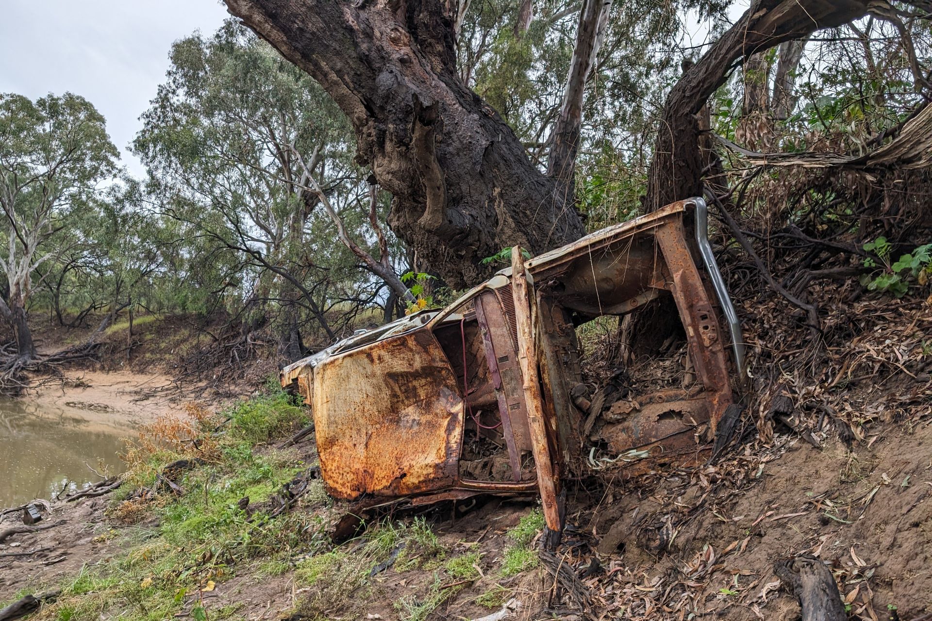 Burnt out car on a riverbank leaning against a large tree