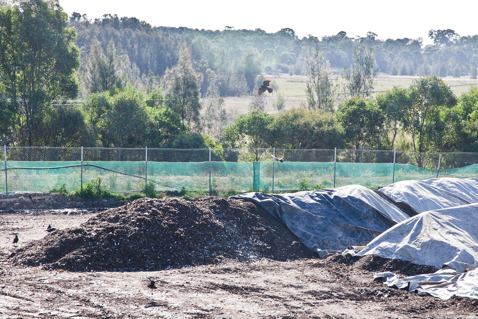 Compost maturing in partially covered heap