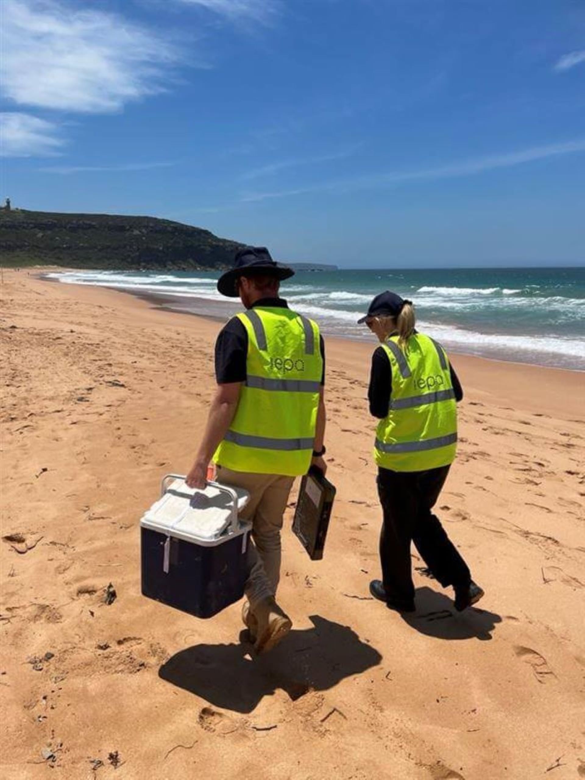 EPA officers collecting debris balls in Northern Beaches