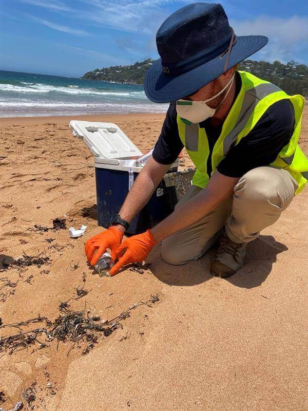 EPA officer collects debris ball sample from Northern Beaches' beach