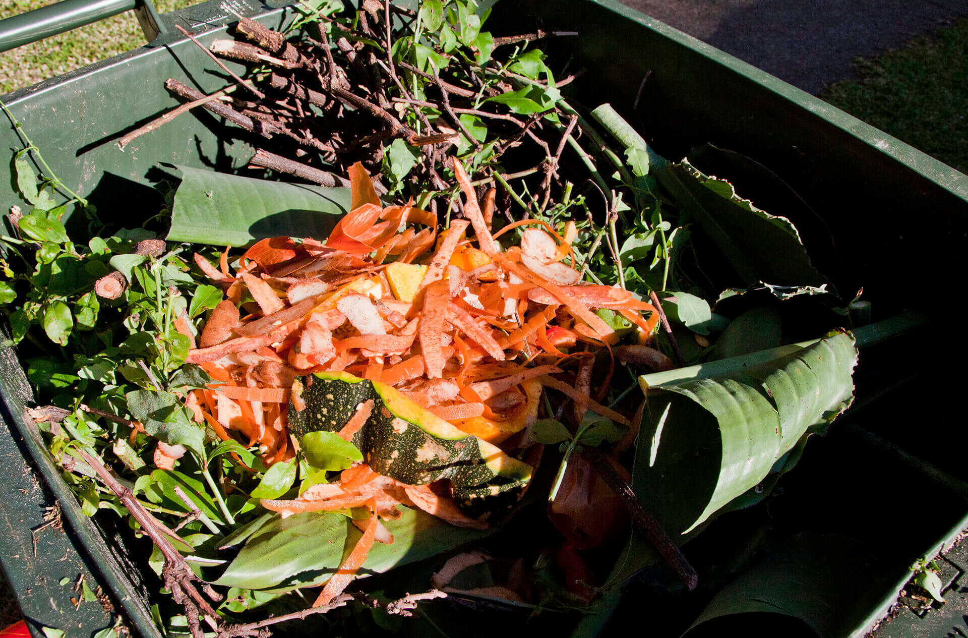 Food waste in the top of an organics waste green bin