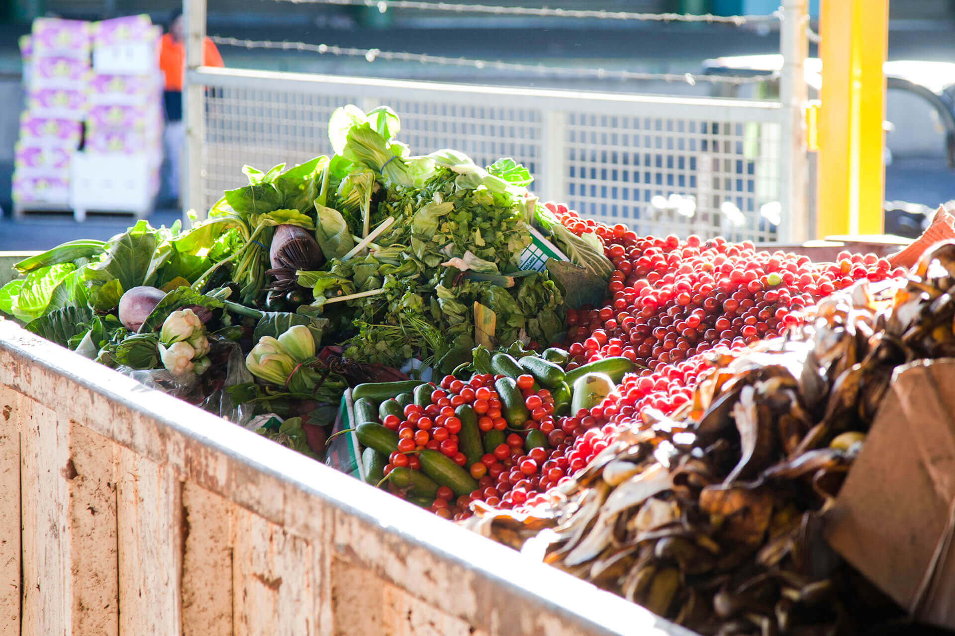 Food waste from markets in large skip bin