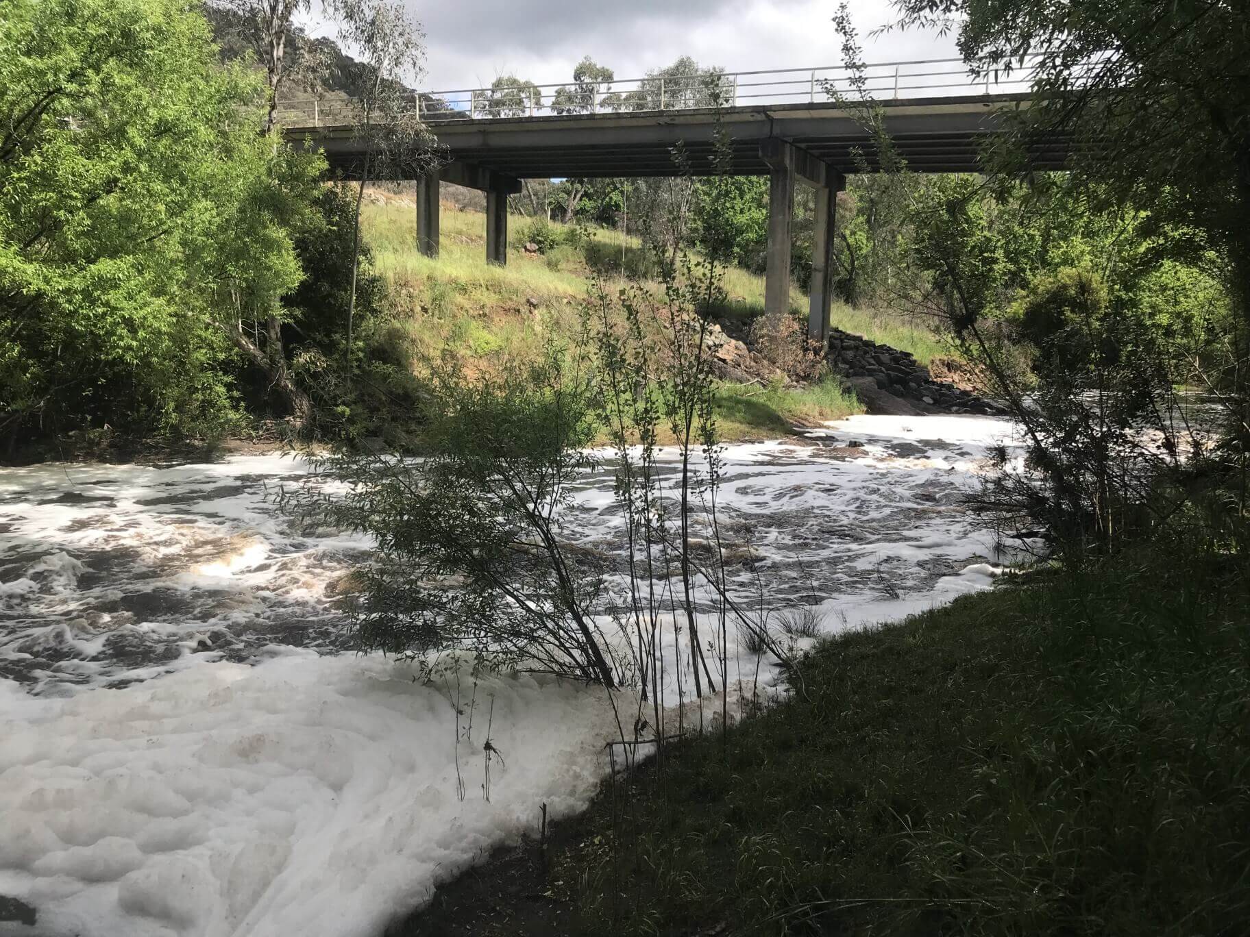 Gilmore Creek, near Snowy Mountains Highway