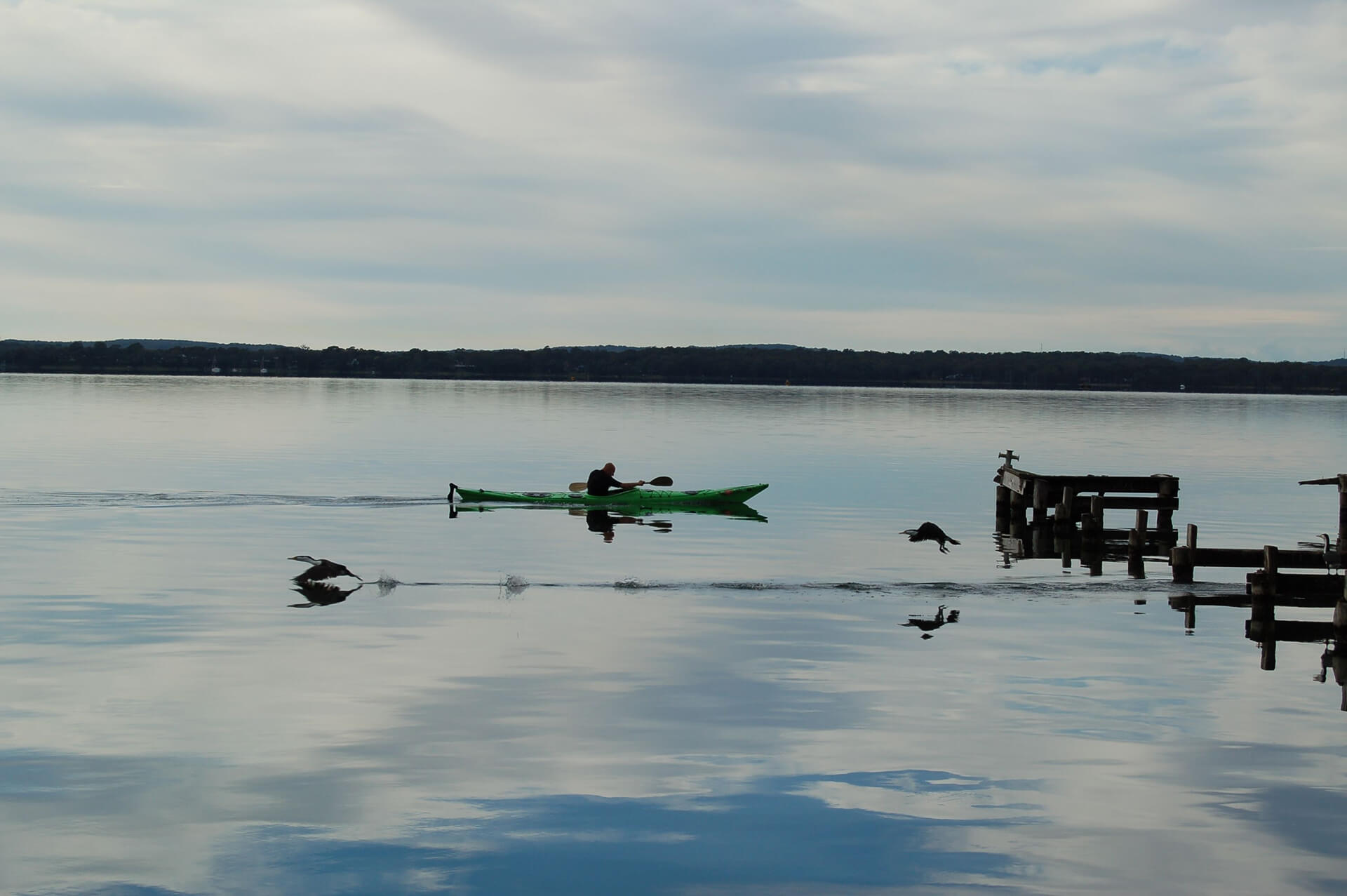 Person kayaking in Lake Macquarie State Conservation Area