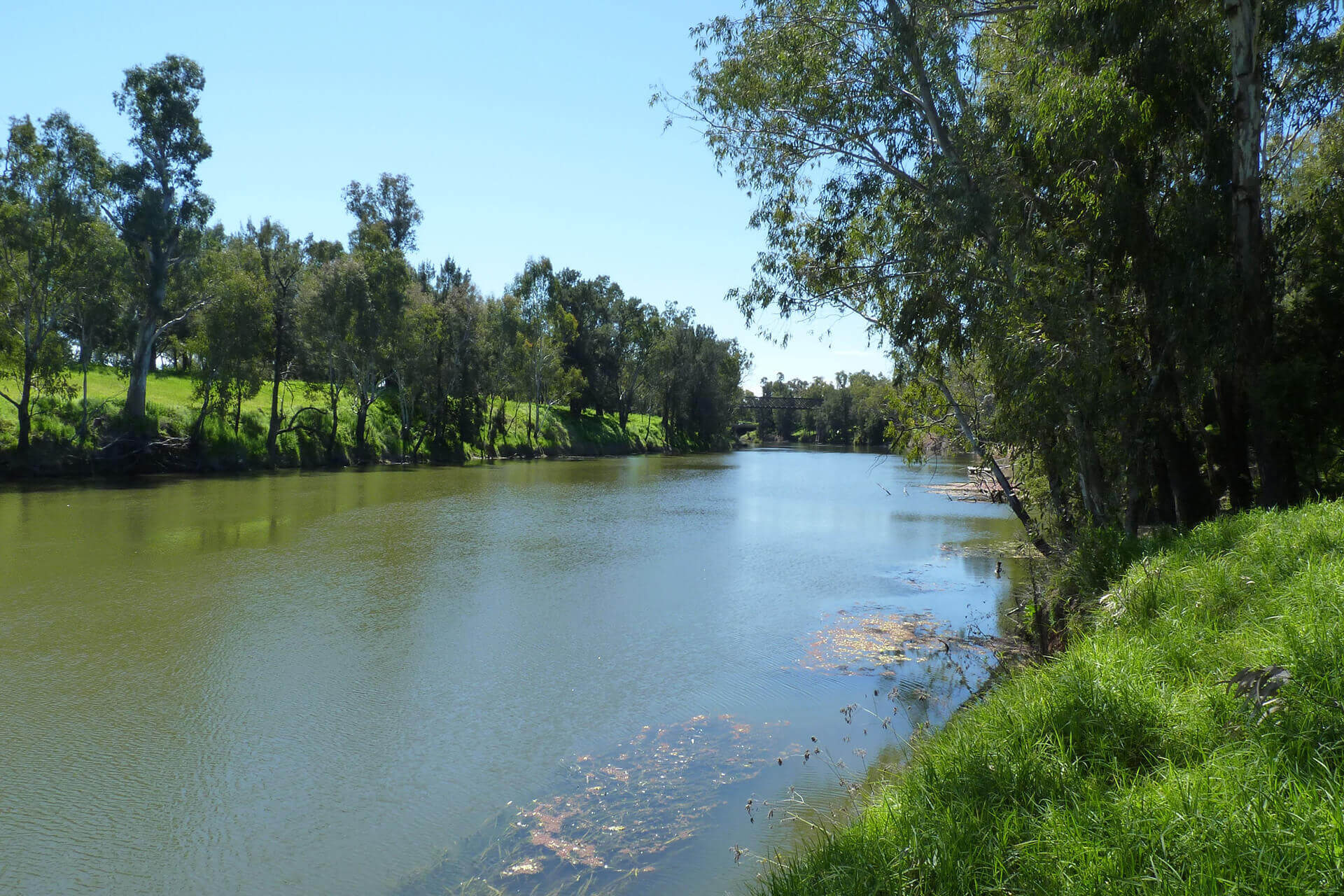 Macquarie River near Dubbo