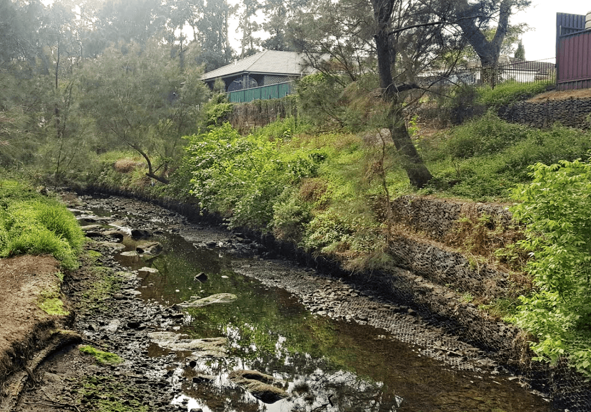 Prospect Creek