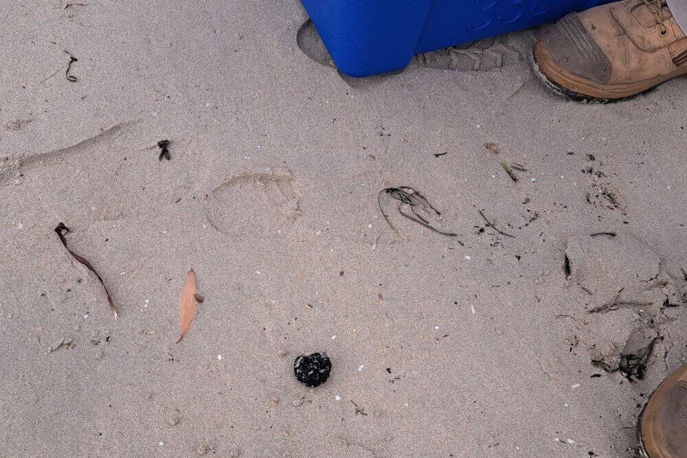 Black balls of debris on the sand, Silver Beach, Kurnell