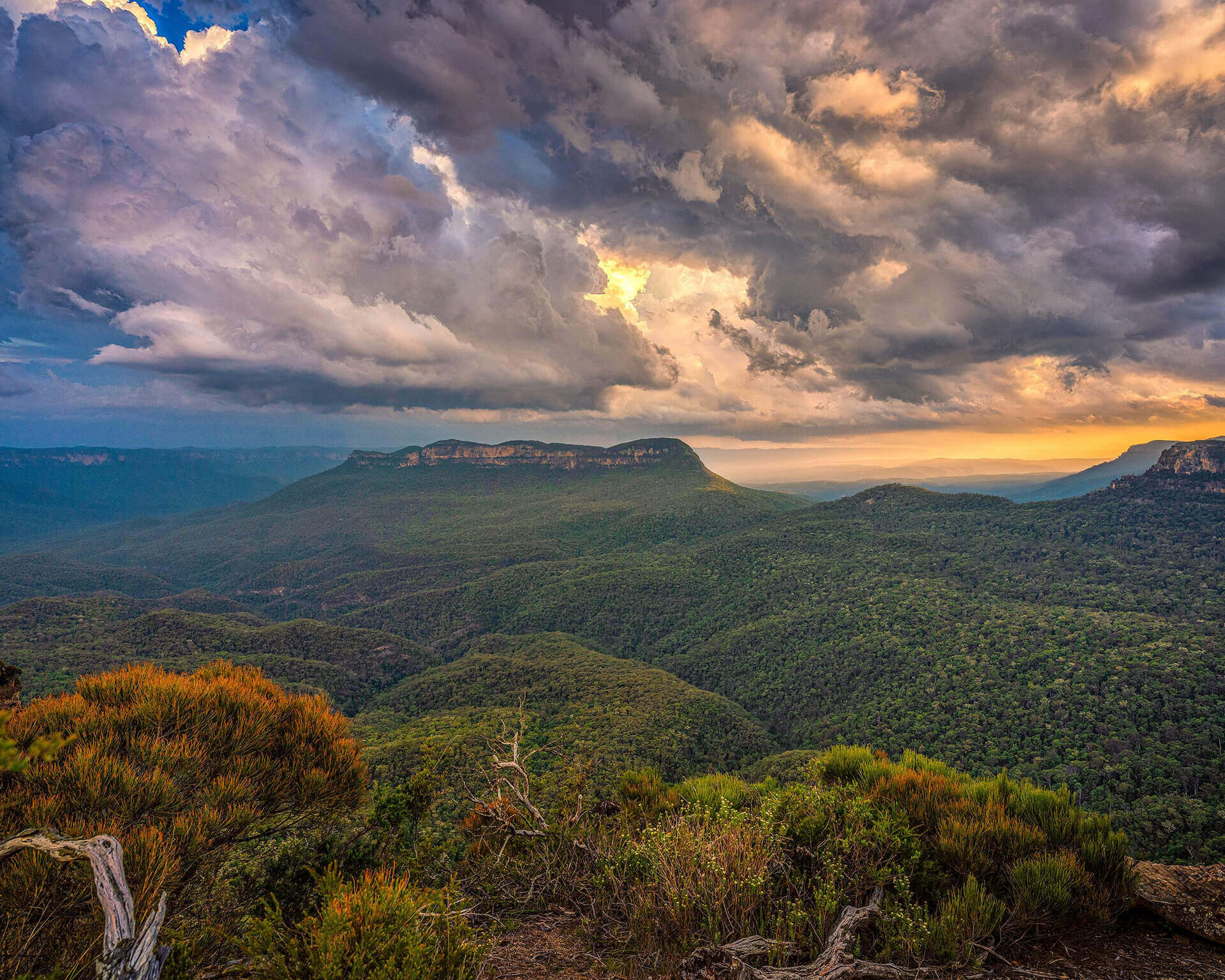 Sunset over bush canyons