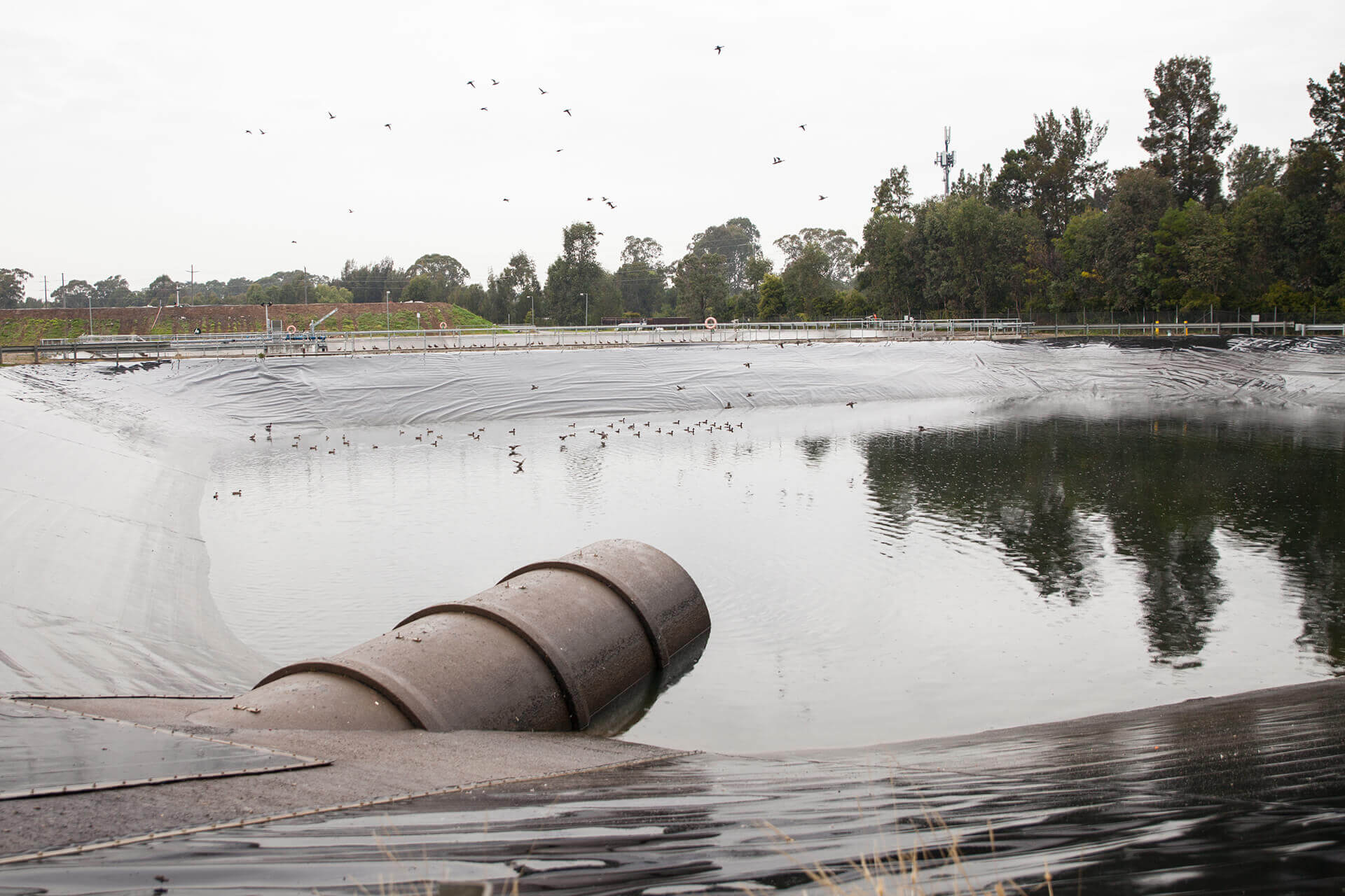 Tailings dam with inlet pipe and birds on the dam