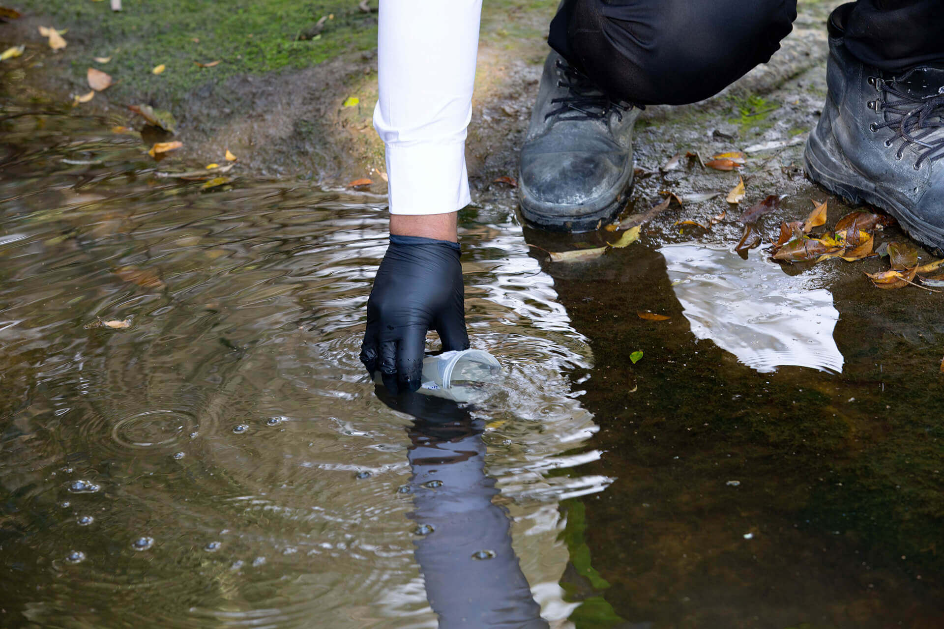 EPA officer using taking a sample of water from the Parramatta River