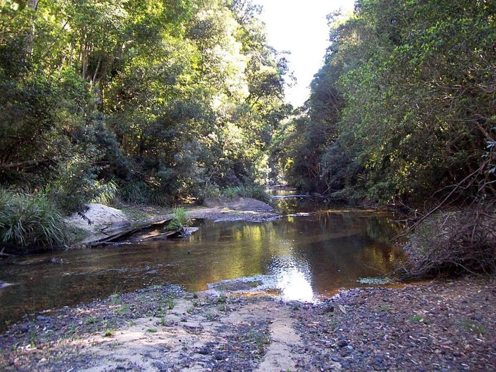 Hacking River in the NSW Royal National Park