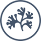 Algae icon