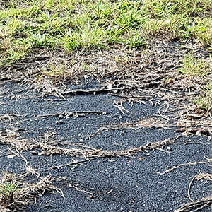 Black slag on grass