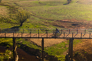 Cyclists on the Tumbarumba to Rosewood rail trail