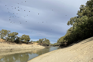 Darling-Barka River