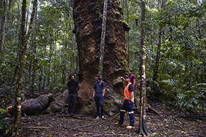 Forestry and EPA officers checking bushland