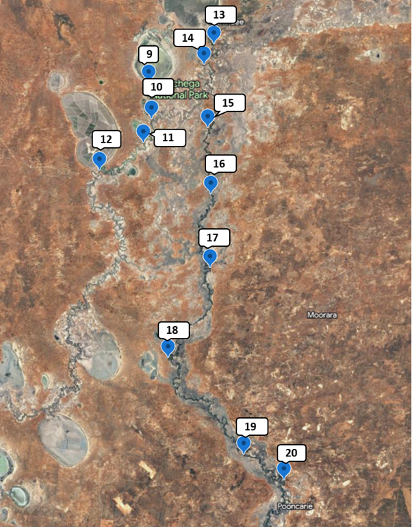 Map - Figure 3: Sample locations for the Great Darling Anabranch and lower Darling-Barka River between Weir 32 and Pooncarie regions