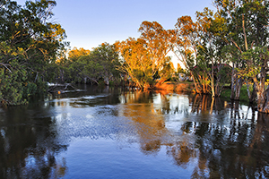 Murrumbidgee River from bridge in Balranald town at sunrise