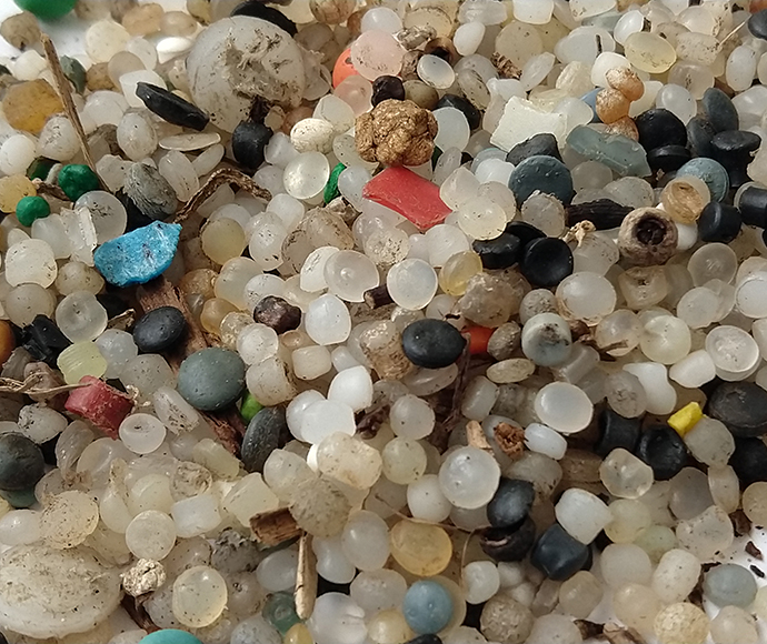 Plastic resin pellets (nurdles)