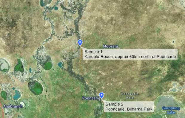 Menindee fish kill sampling sites, Pooncarie 4 April 2023