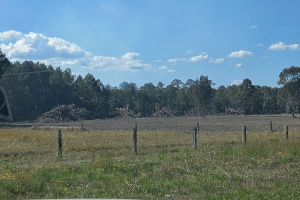 A grassy field in the foreground with a line of wooden fences posts running horizontally across the image. Behind the fence is another open grassy field and at the back of that is a large pile of timber. There are green trees and bushes behind the timber pile.